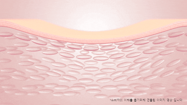보탬큐브 프로페셔널 (BS) (48개월) 상세 이미지 4