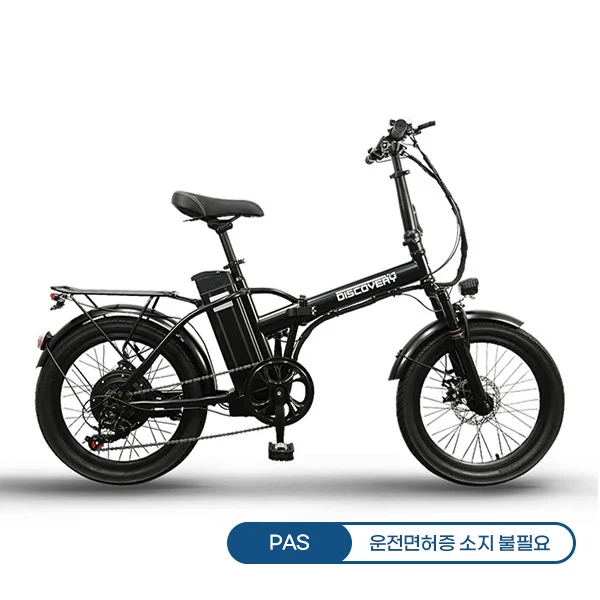 [레이윙] 디스커버리 엔트리 PAS20e10 (PAS구동) (48개월)