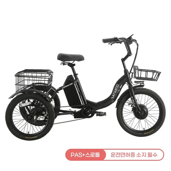 [레이윙] 캐리 이지 전기자전거 CARRYEZ_15A (블랙) (48개월)